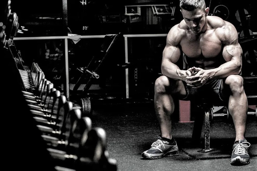 Most Popular Bulking Steroids: Grow Muscles Like Pros Today